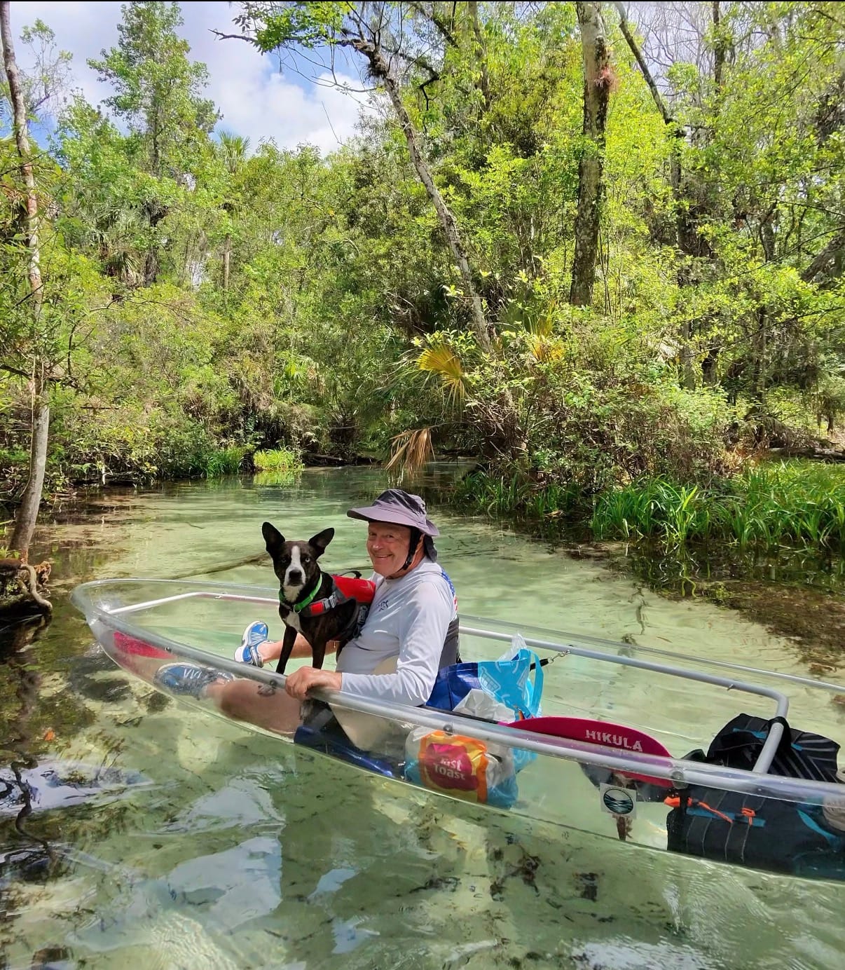 A guest paddling a clear kayak with a small dog in a life jacket at the bow