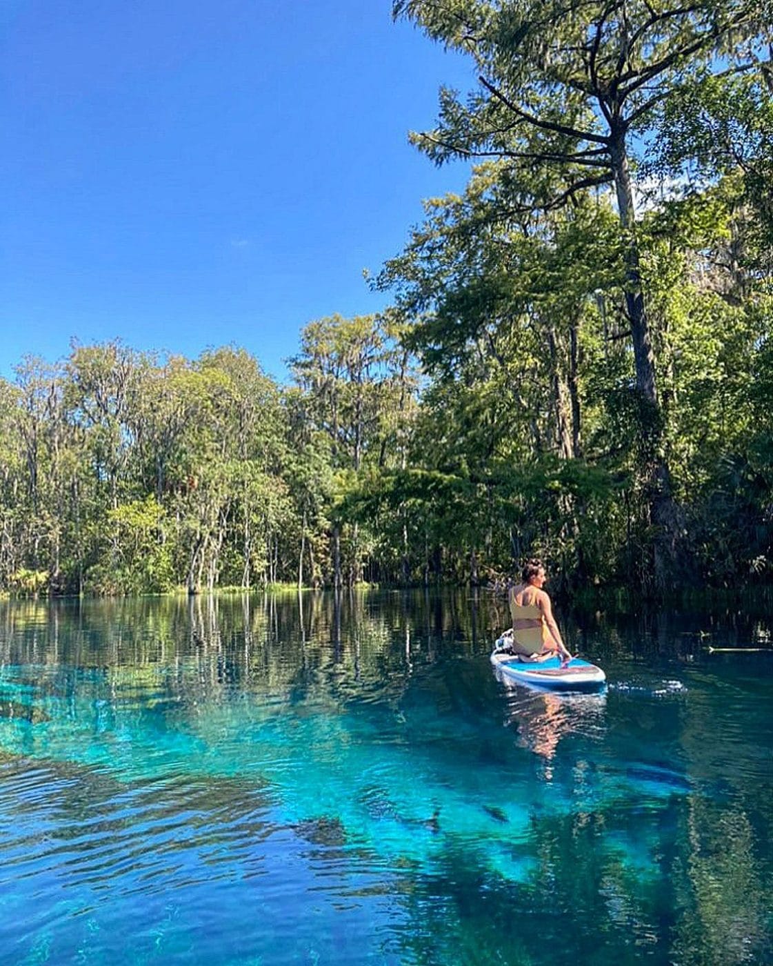 A guest on a paddleboard over clear turquoise spring water beneath cypress and Spanish moss