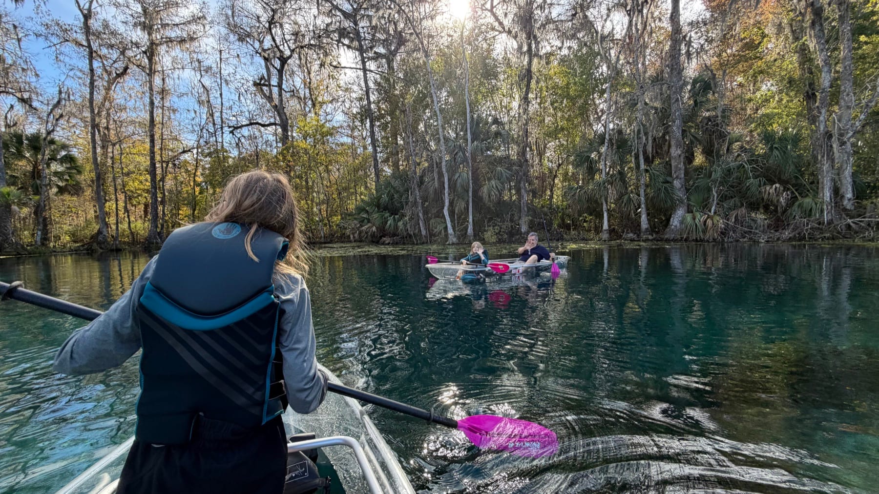 Guests paddling clear kayaks through cypress and Spanish moss on the Silver River