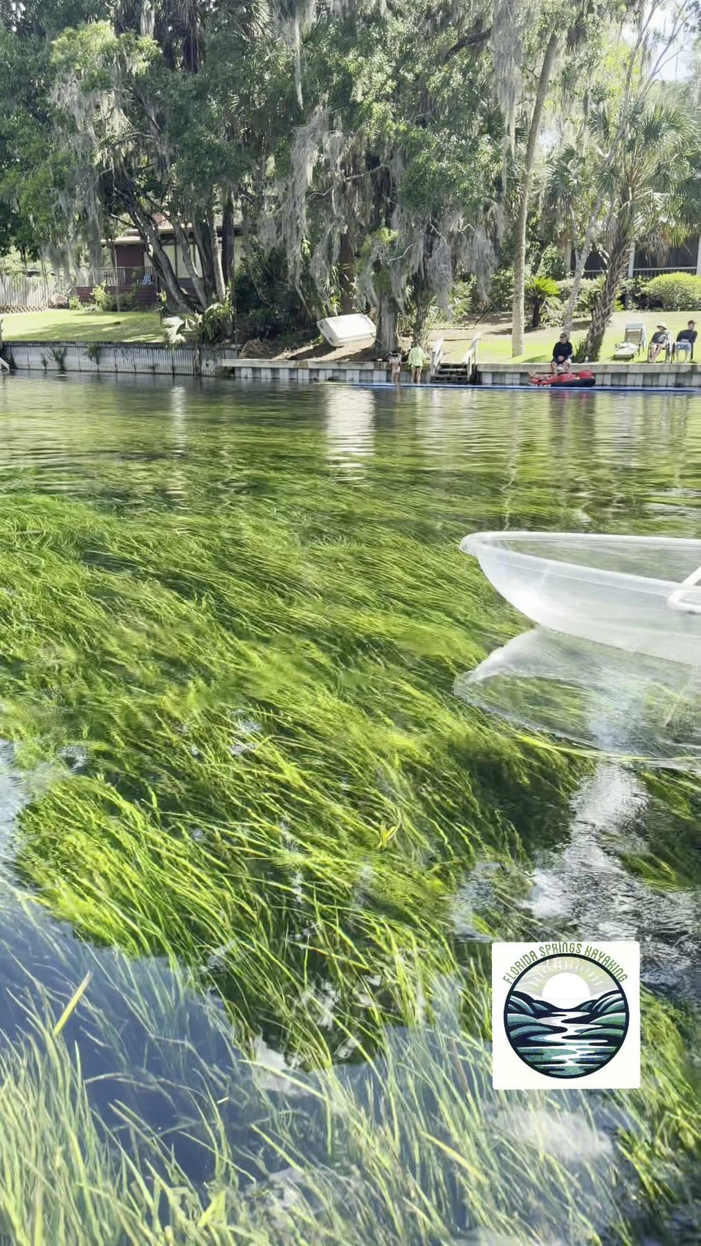 Bright eelgrass flowing under a clear kayak on a Florida spring