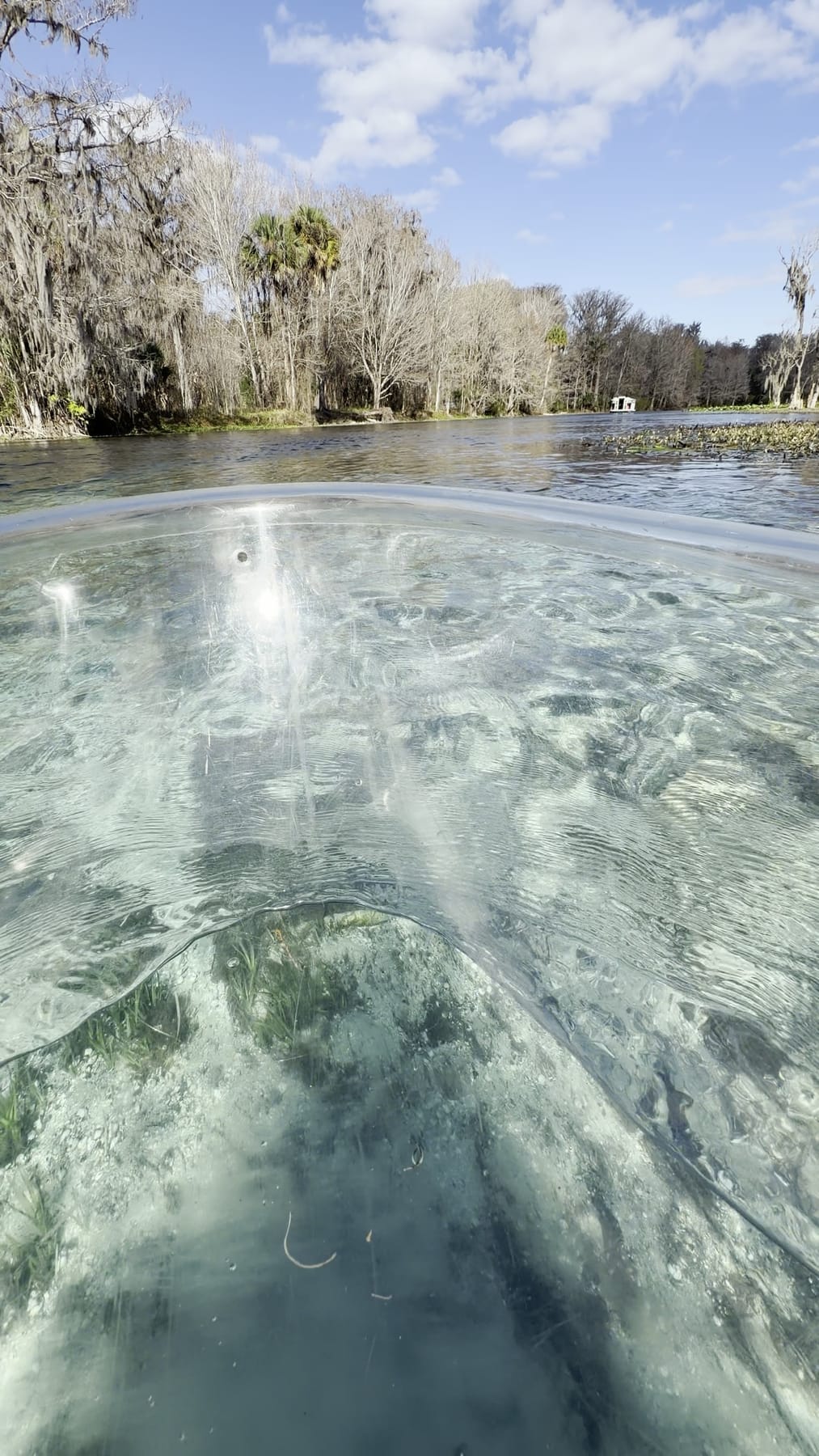 Looking through a clear kayak hull at sand and eelgrass on a cypress-lined spring run