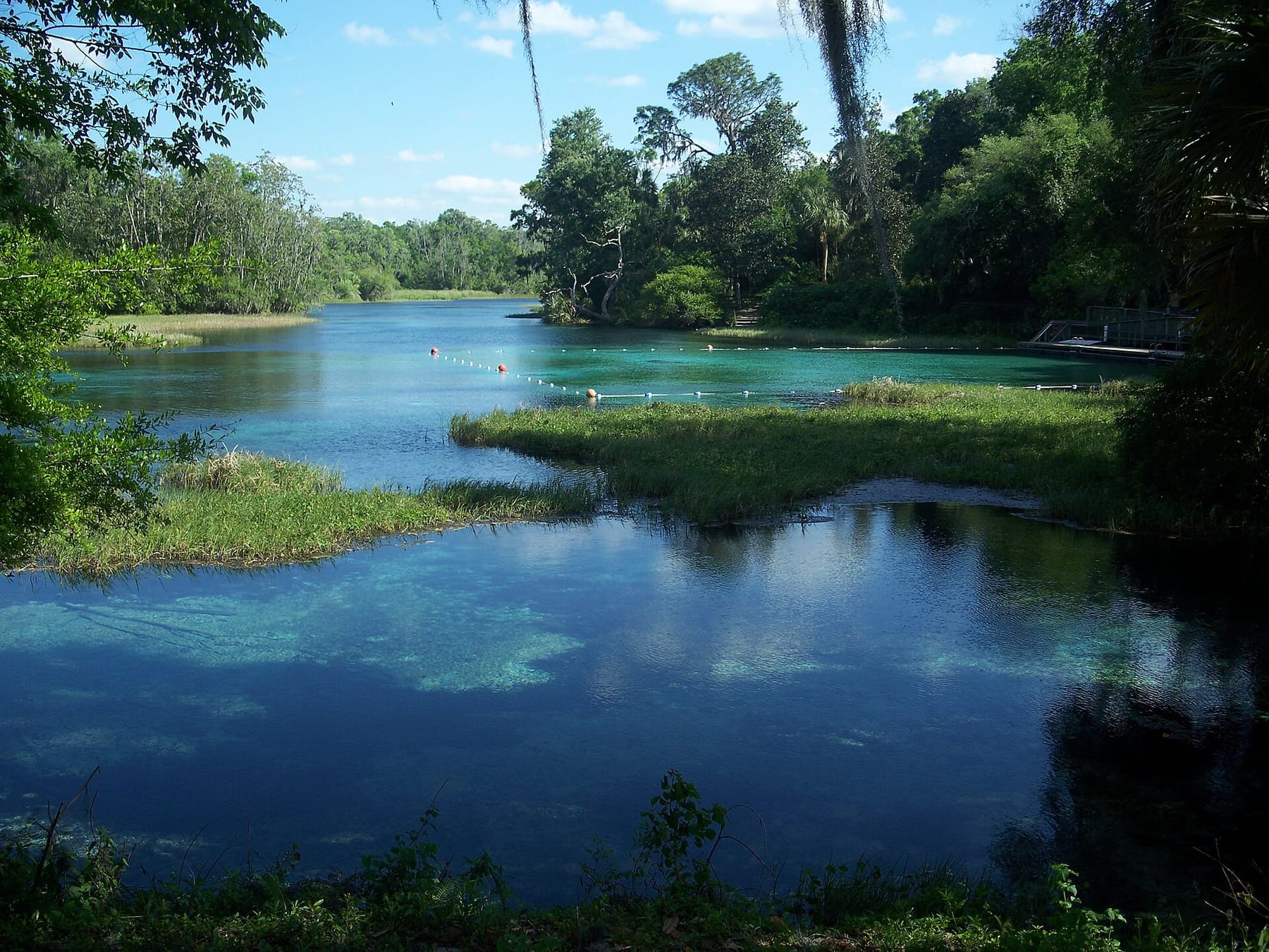 The clear turquoise headspring basin of Rainbow Springs framed by forest